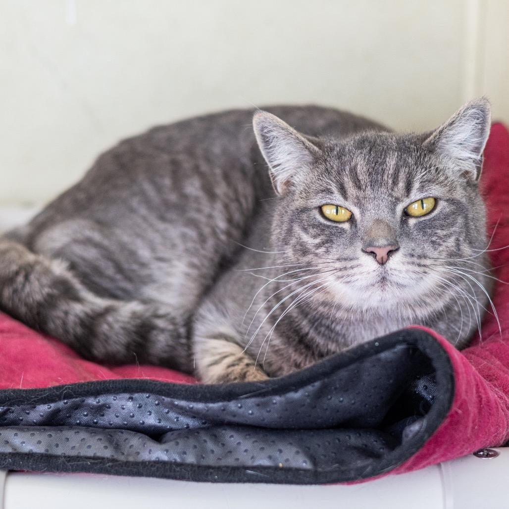 Ruby Loo — thumbnail 6