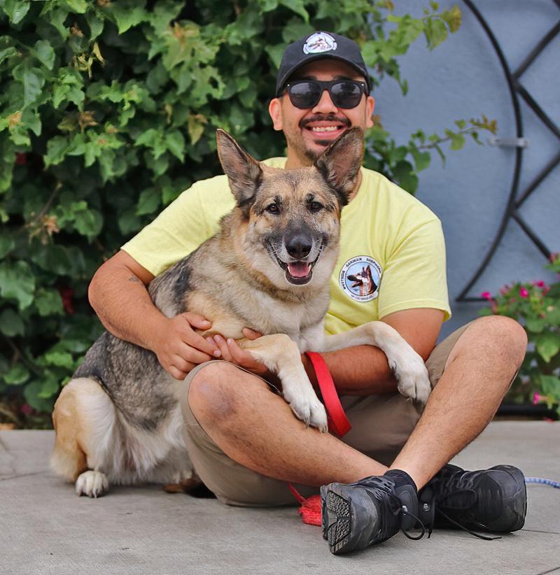 Nala von Surselva, a Adoptable German Shepherd Dog in Los Angeles, CA image 2/6