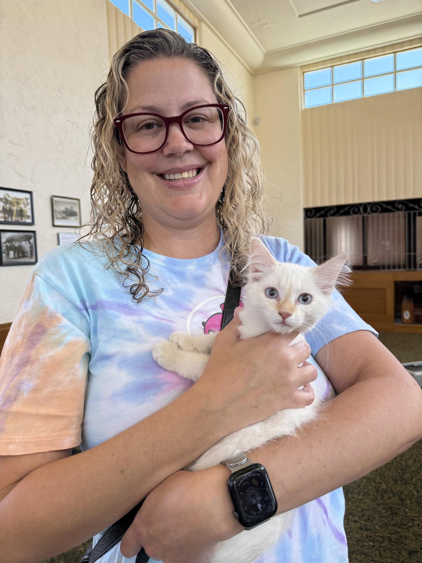 Enlarge Phoebe ( EE), a Adoptable Siamese in Vallejo, CA image 1/3