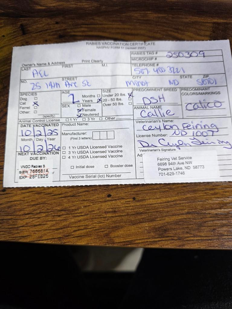 Callie, a Adoptable mixed breed in Minot, ND image 3/5