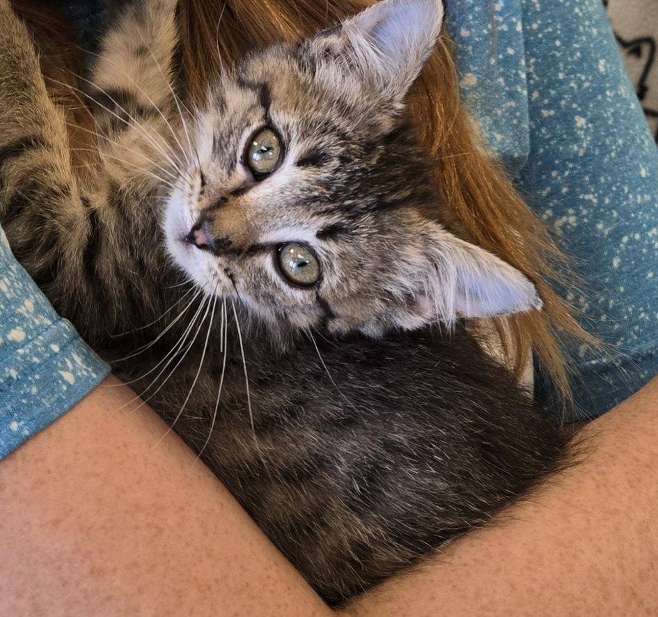 Oliver