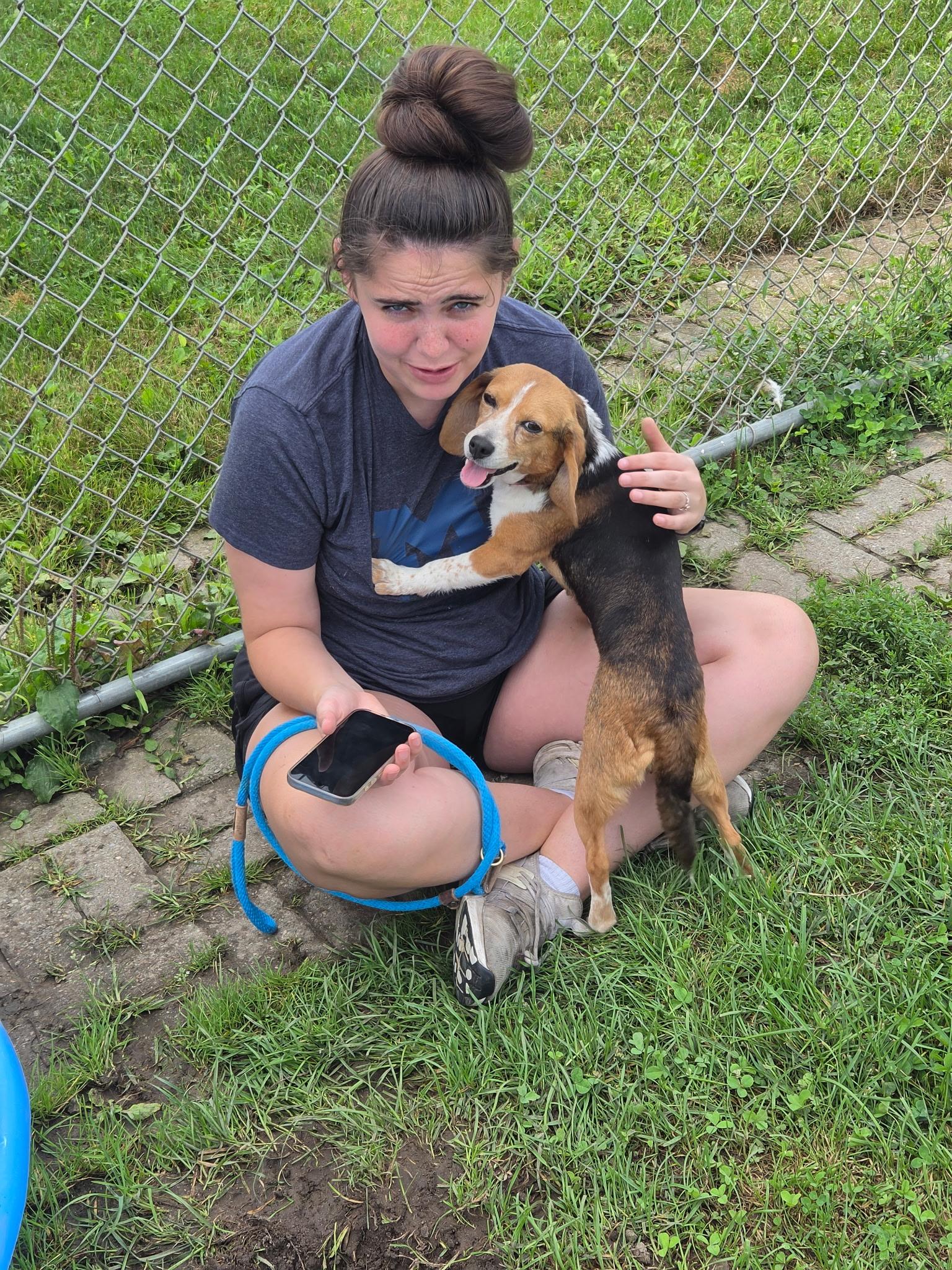 Nutmeg, an adoptable Beagle in Lake Odessa, MI image 2/3