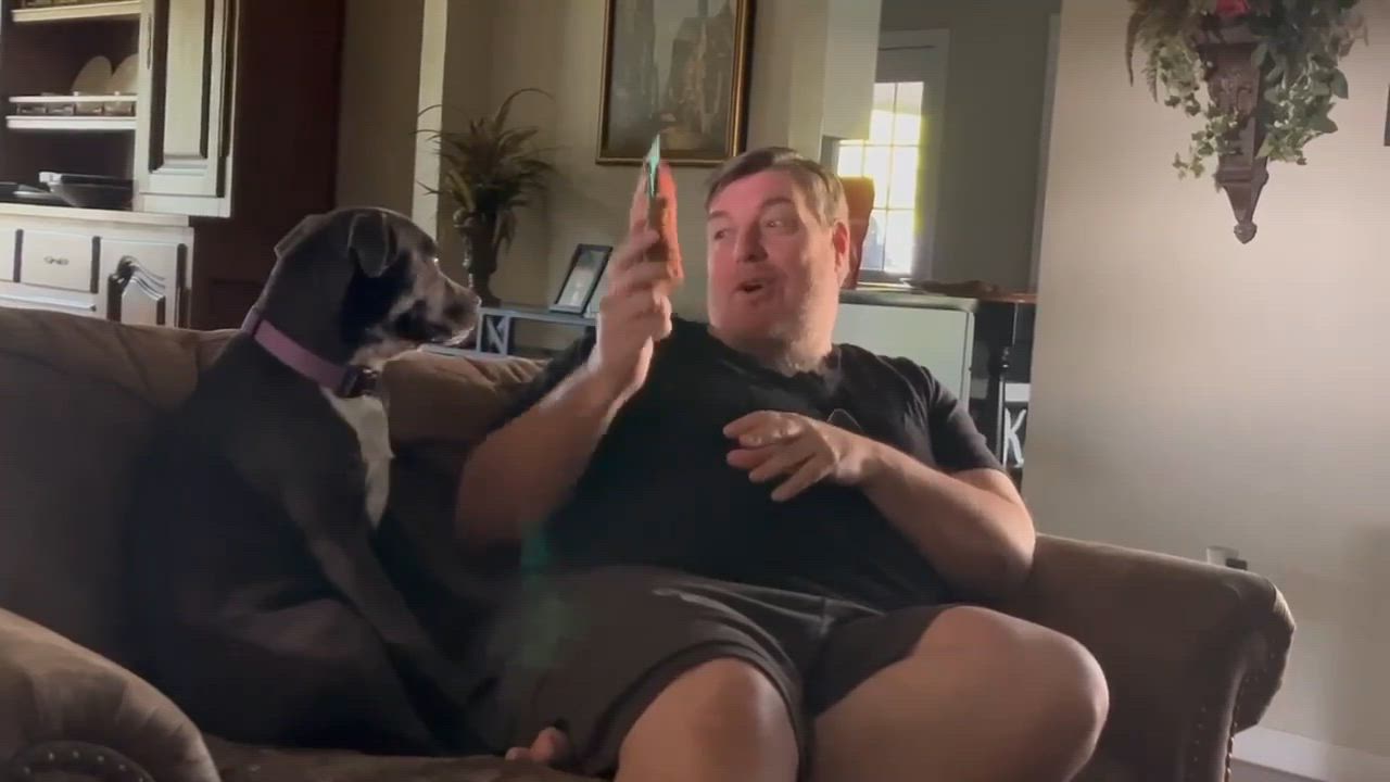 Enlarge Hazel, a Adoptable mixed breed in DeWitt, NY video 2/6