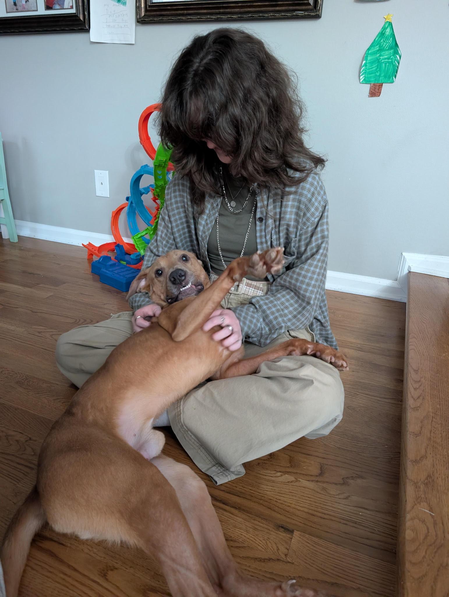 Baylor, an adoptable mixed breed in Cumming, GA image 5/6