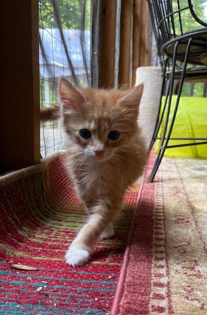 RORY