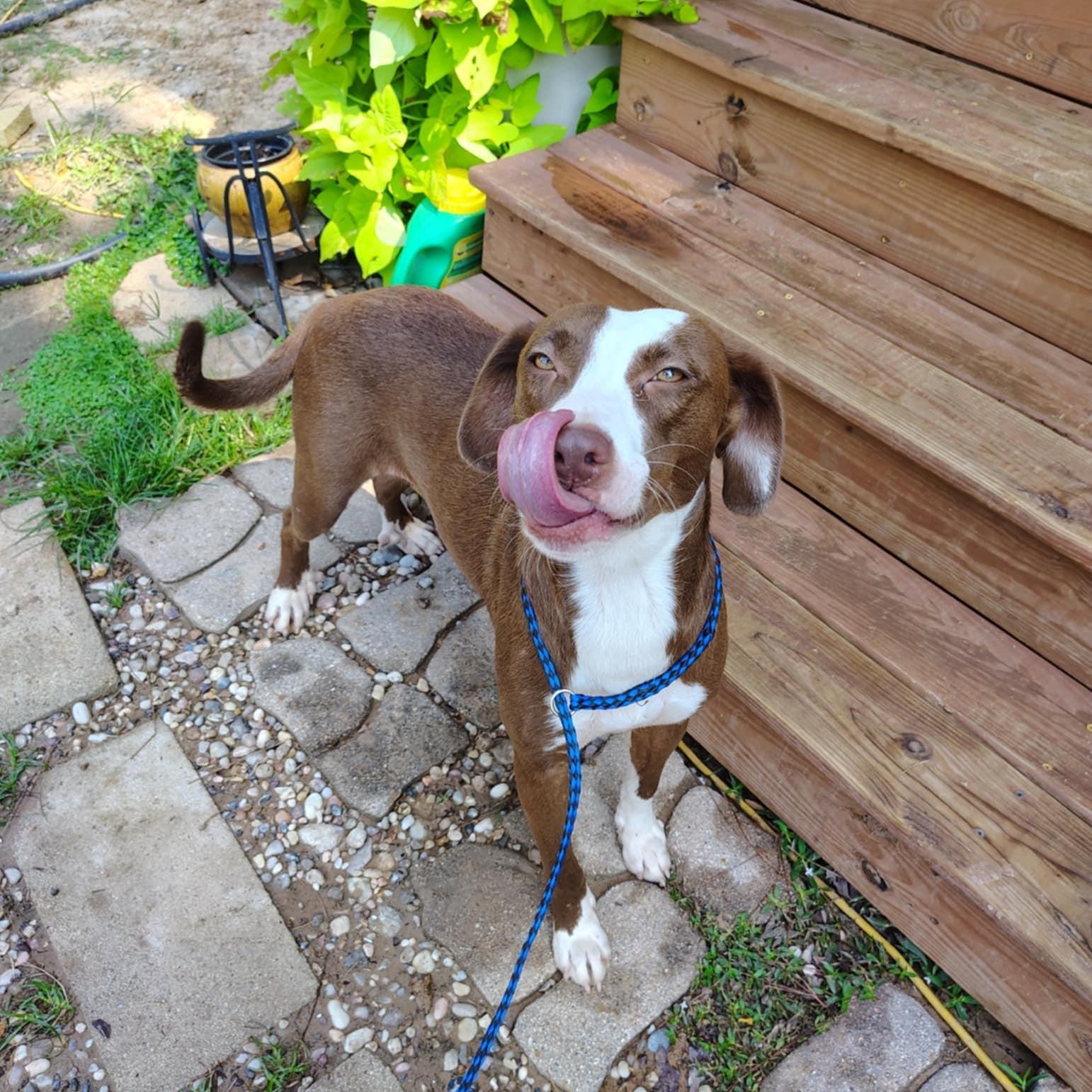 Duncan