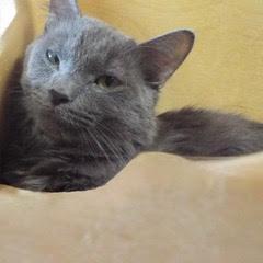 Smokey photo 2