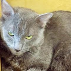Smokey photo 3