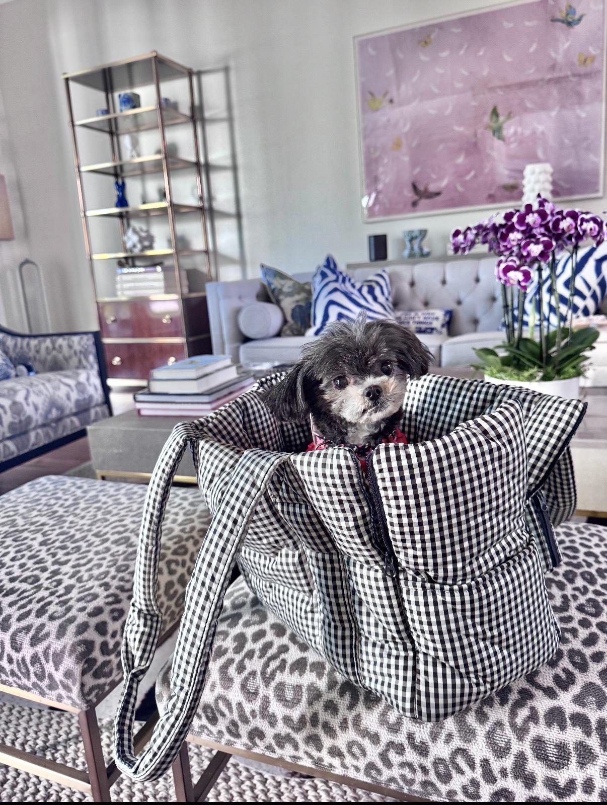 Enlarge Pinky Tuskadero, an adopted mixed breed in Los Angeles, CA image 5/6