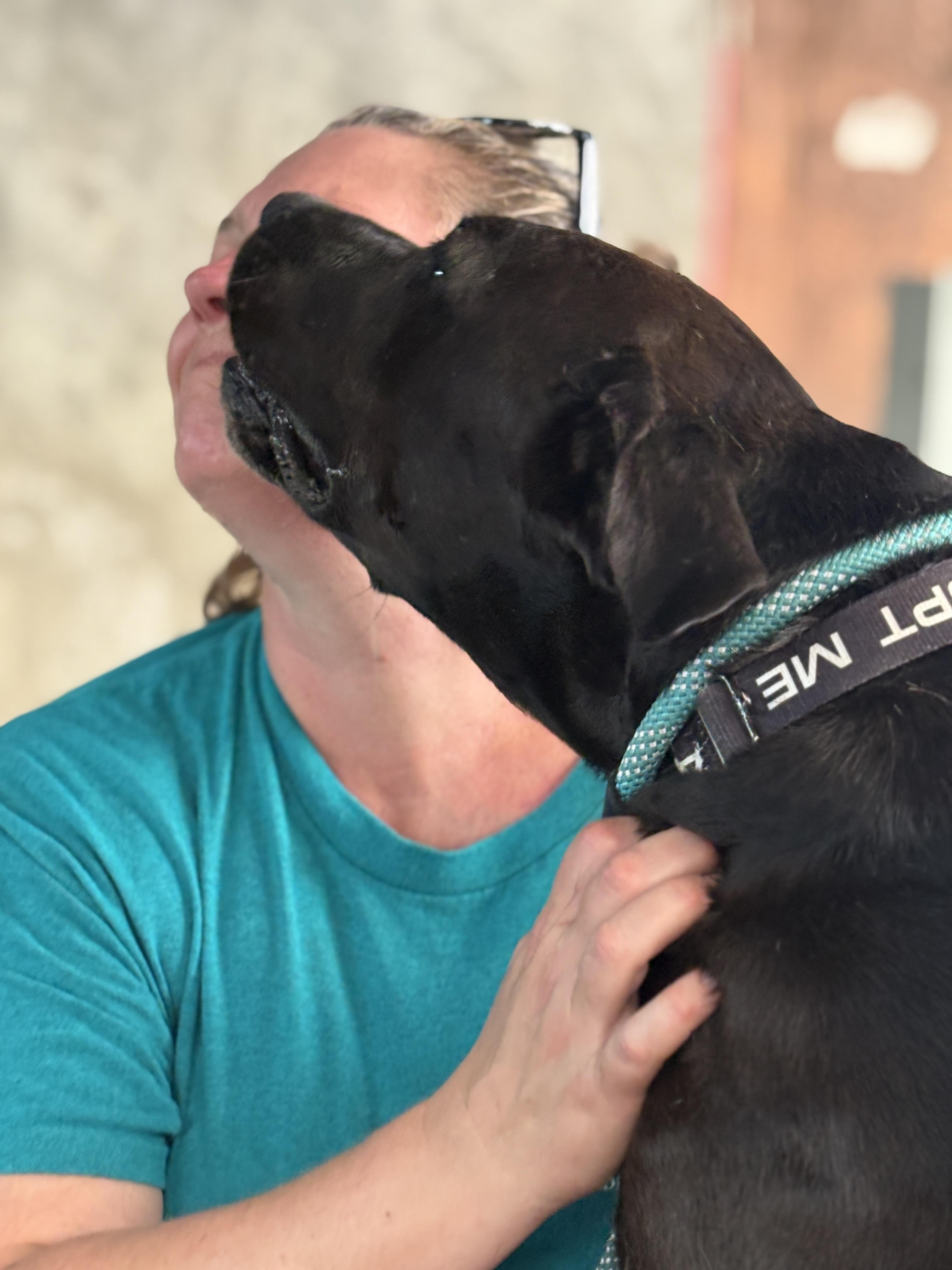 Enlarge REX, "Rexie the Bestie", a Adoptable mixed breed in Houston, TX image 5/6