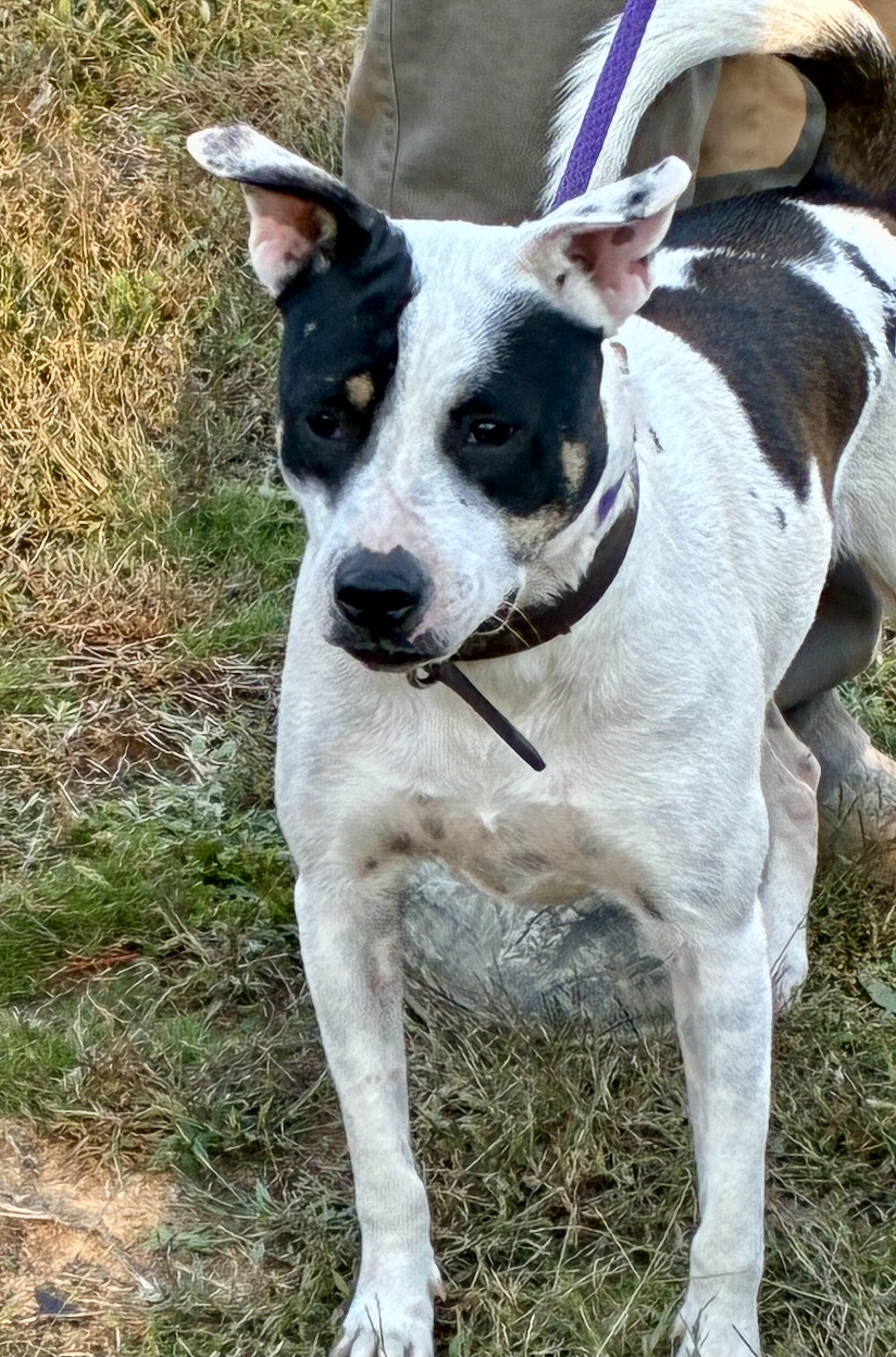 Sunshine thumbnail 2