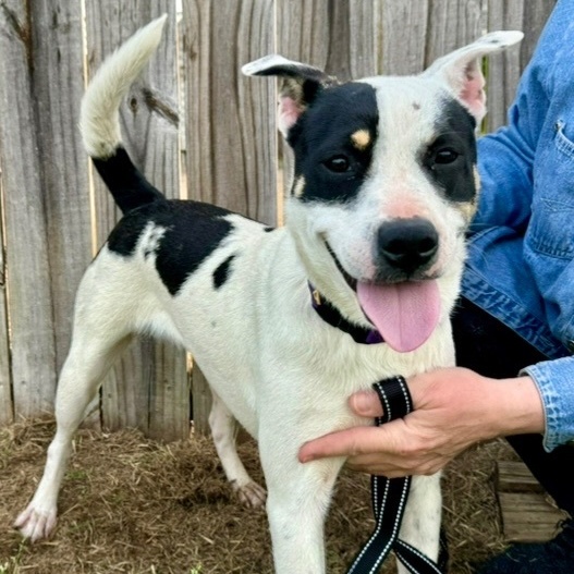 Sunshine thumbnail 4