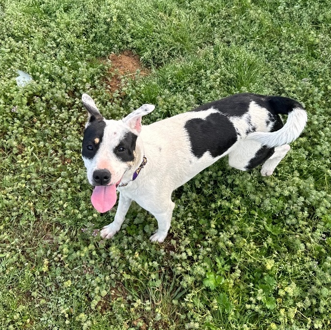 Sunshine thumbnail 6