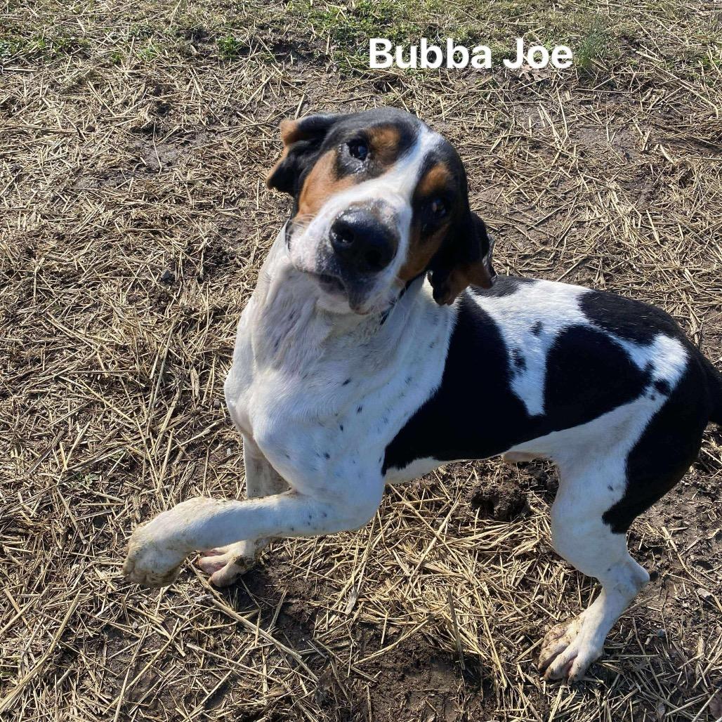 Bubba Joe