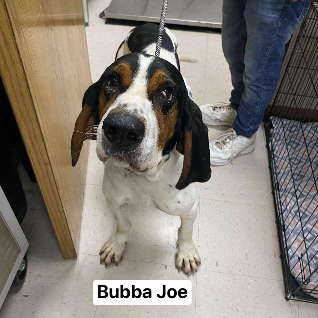 Bubba Joe thumbnail 3