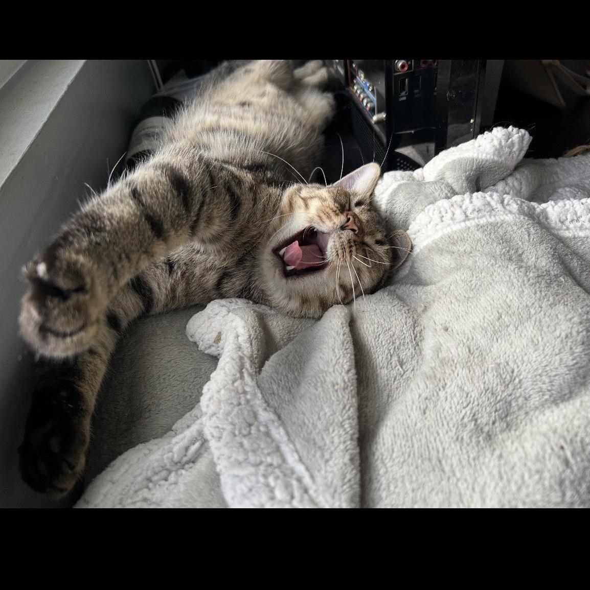 Sprinkle thumbnail 2