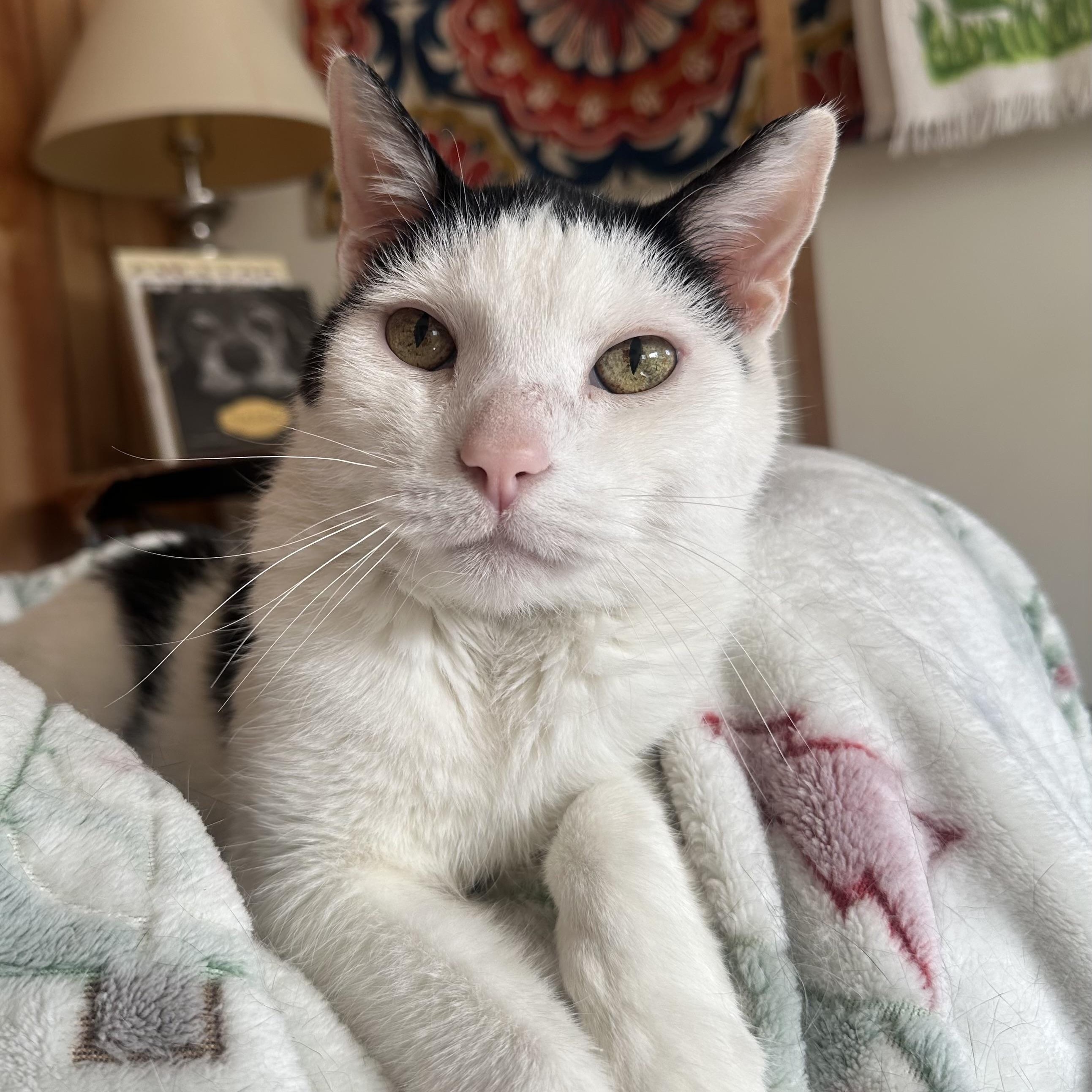 Dottie in Colorado — thumbnail 4