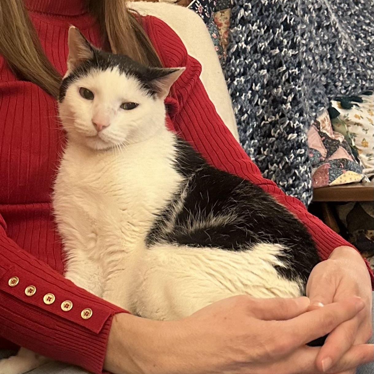 Dottie in Colorado — thumbnail 6