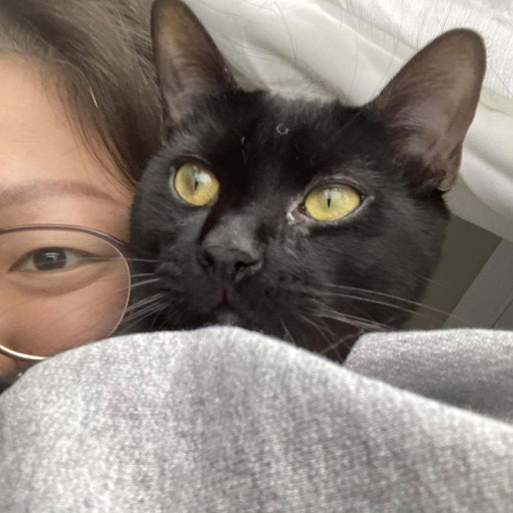 Smokey (Bonded w/The Bandit) — thumbnail 5