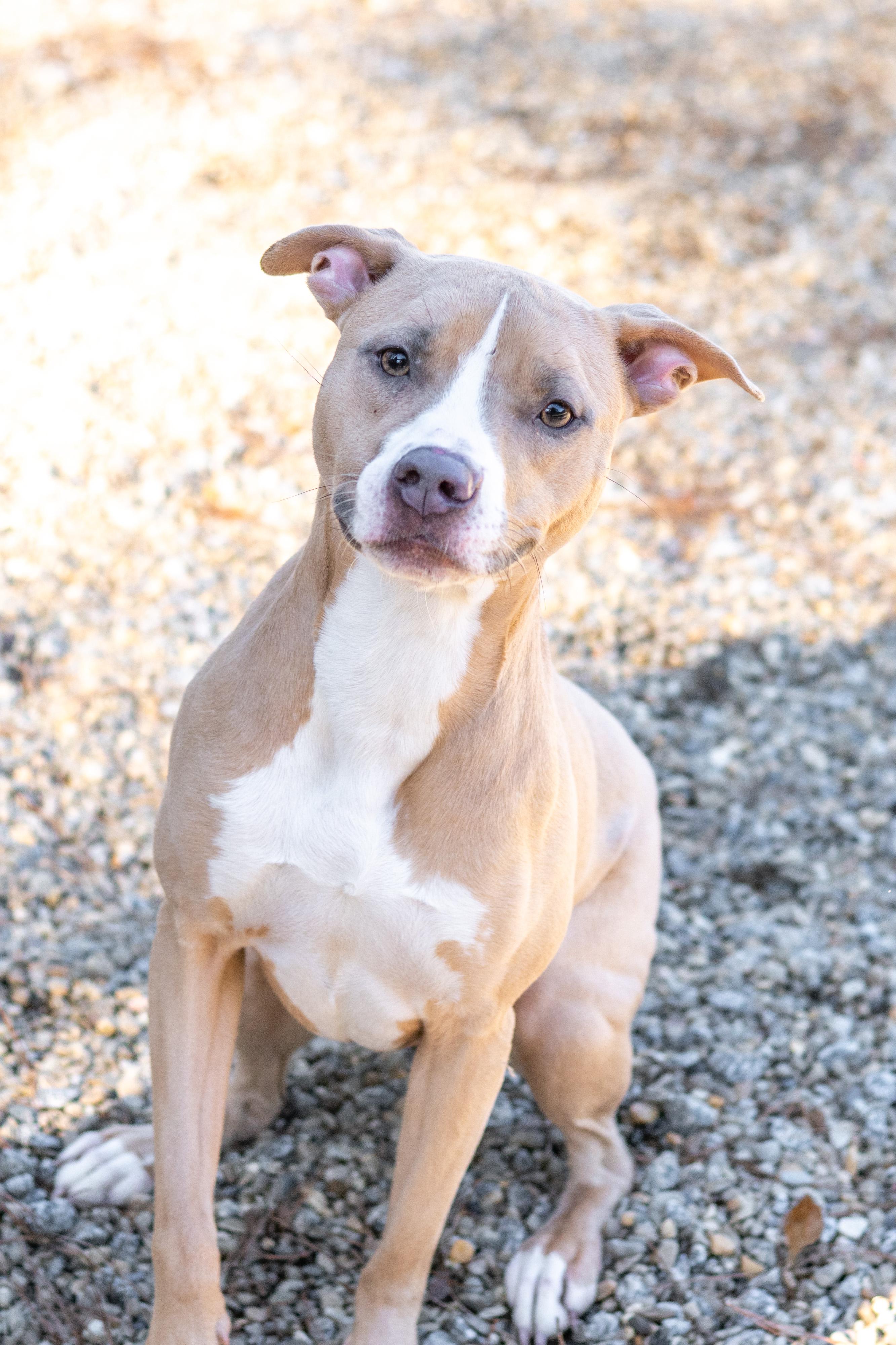 Mary — thumbnail 2