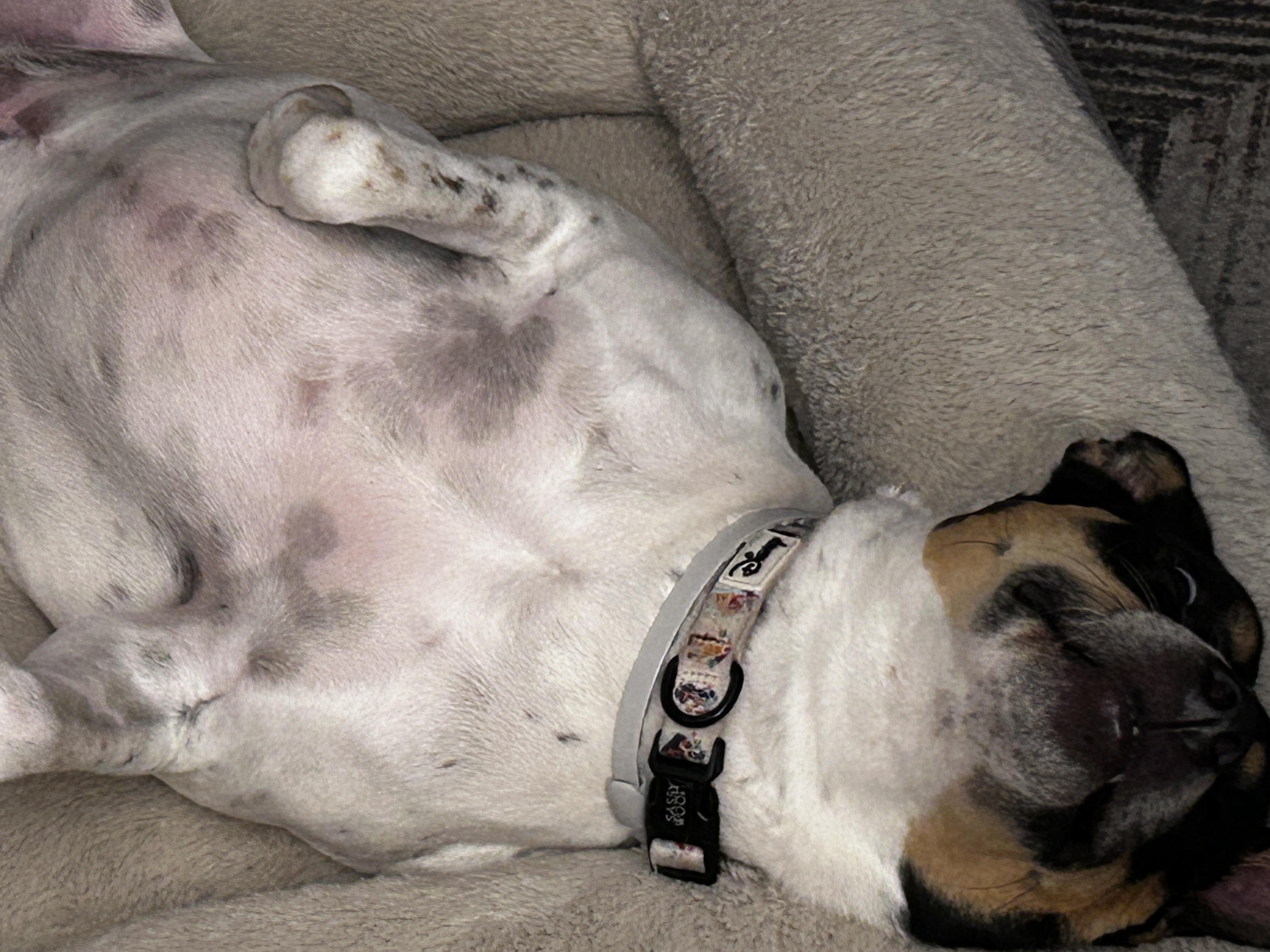 Sandie -- Courtesy Post