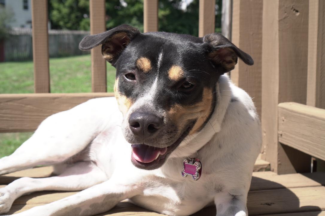 Sandie -- Courtesy Post