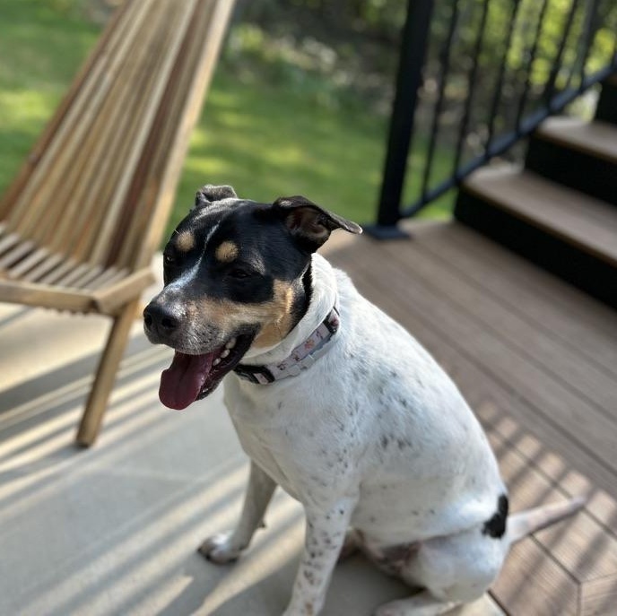 Sandie -- Courtesy Post