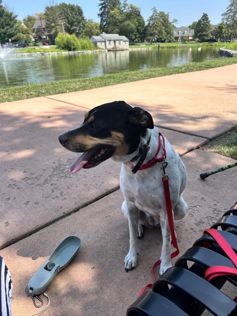 Sandie -- Courtesy Post