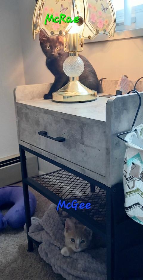 McCrae and McGee
