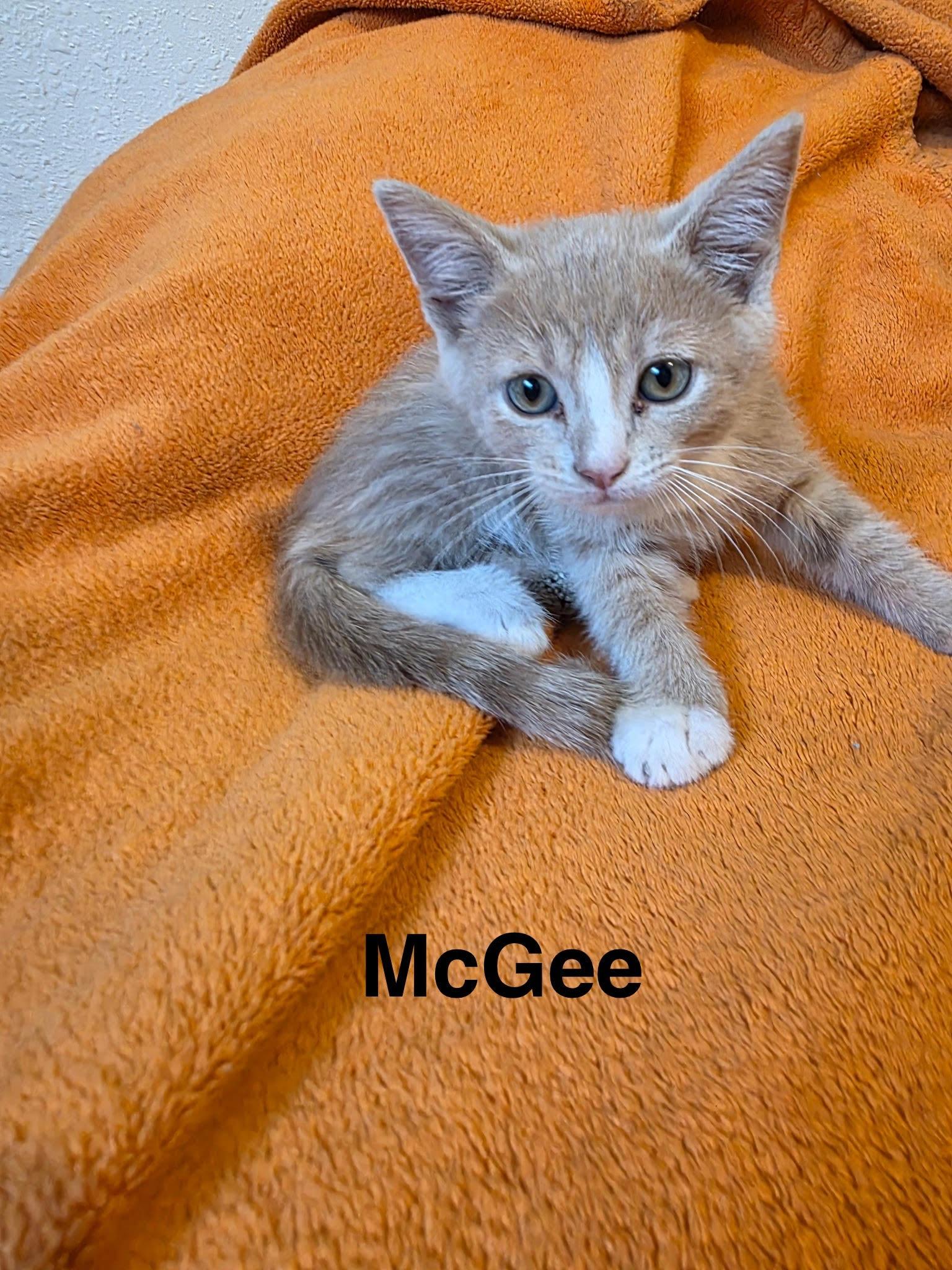 McCrae and McGee