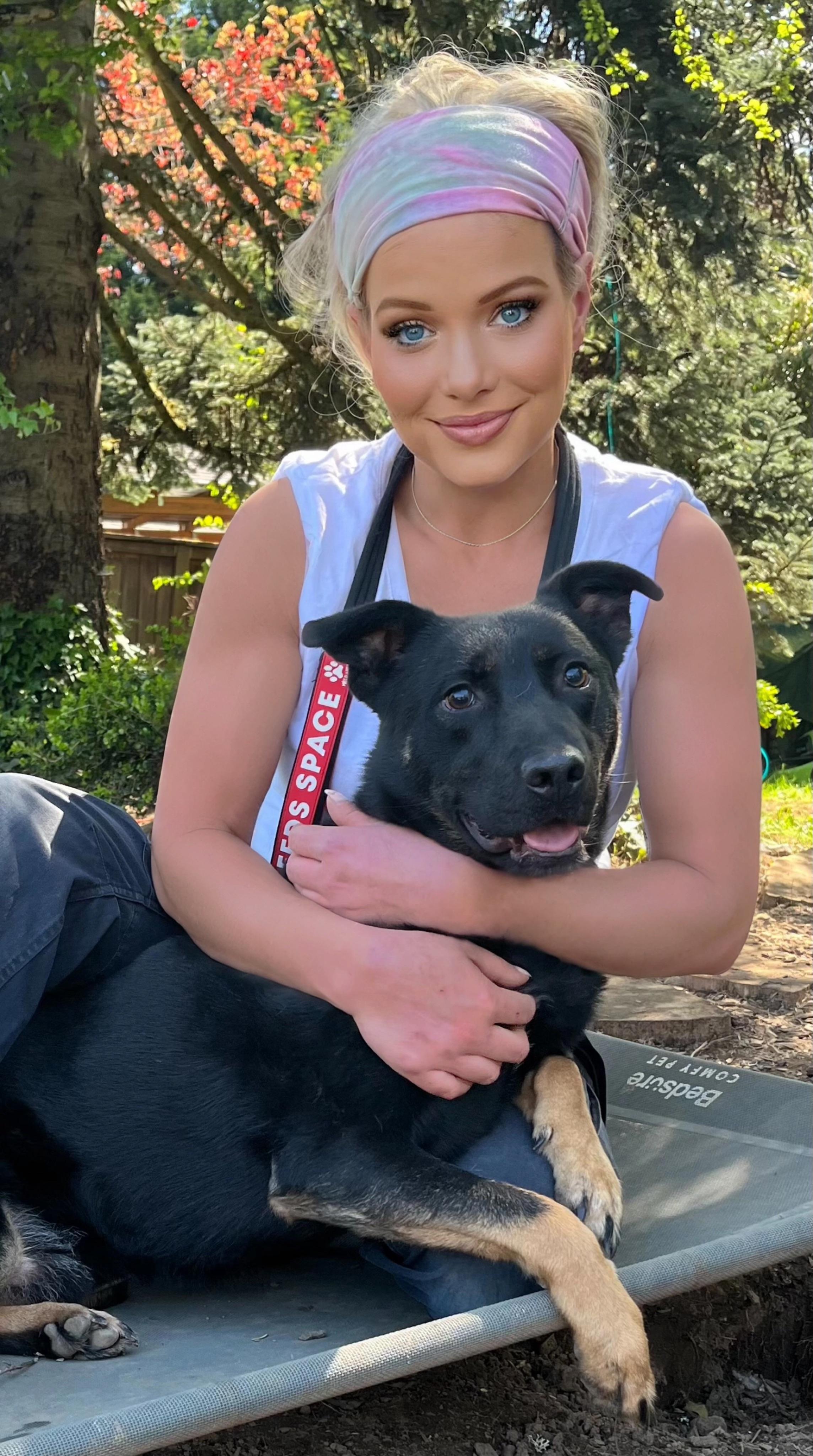 Gordon, a Adoptable German Shepherd Dog in Tigard, OR image 5/5