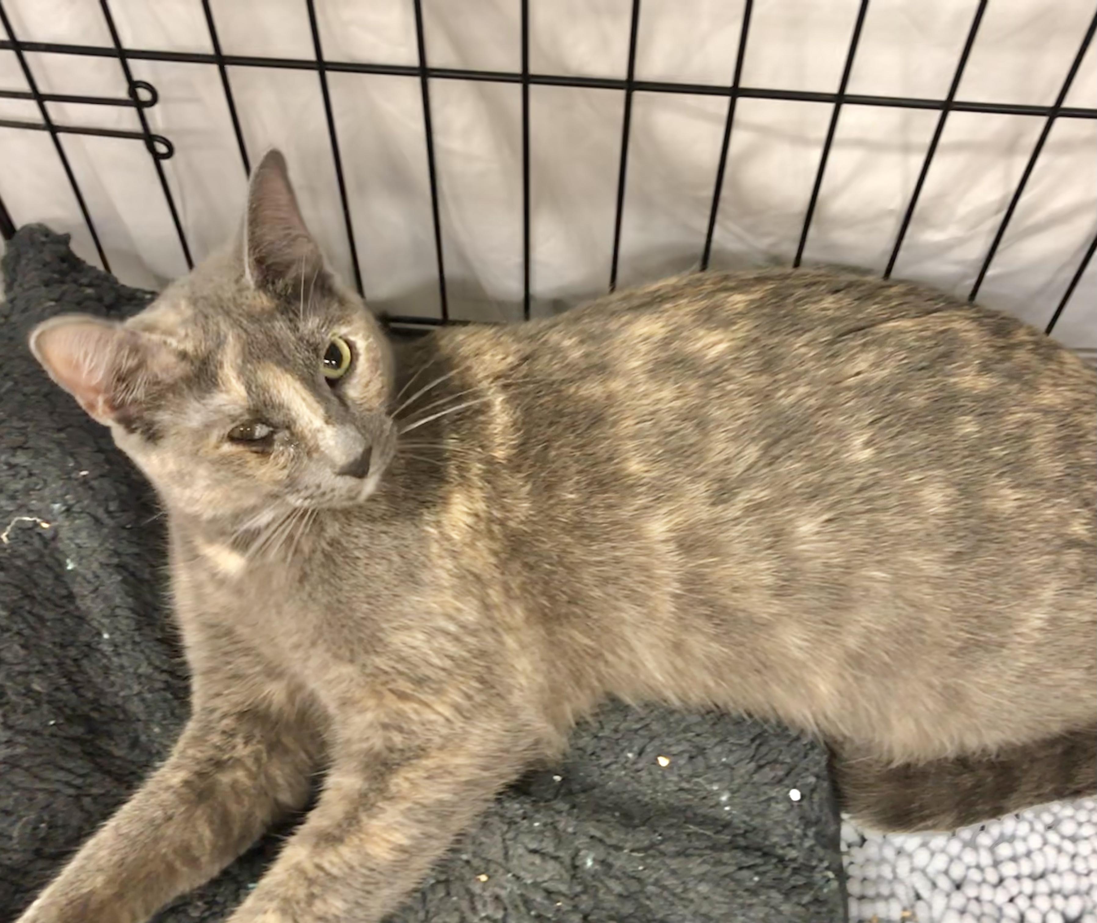 Mary Ann — thumbnail 2