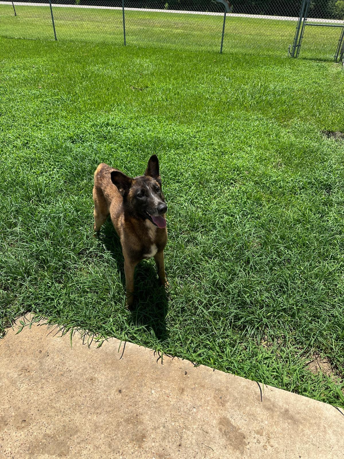 Gunner