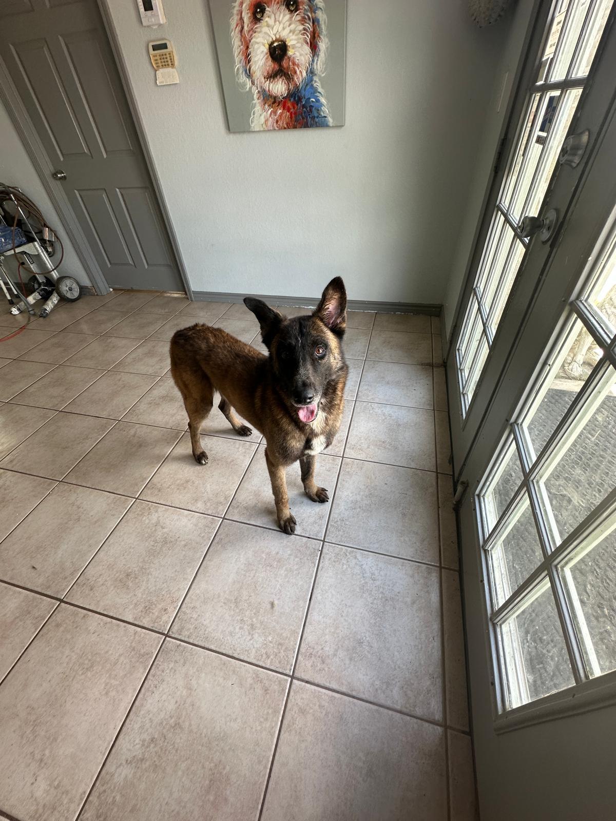 Gunner