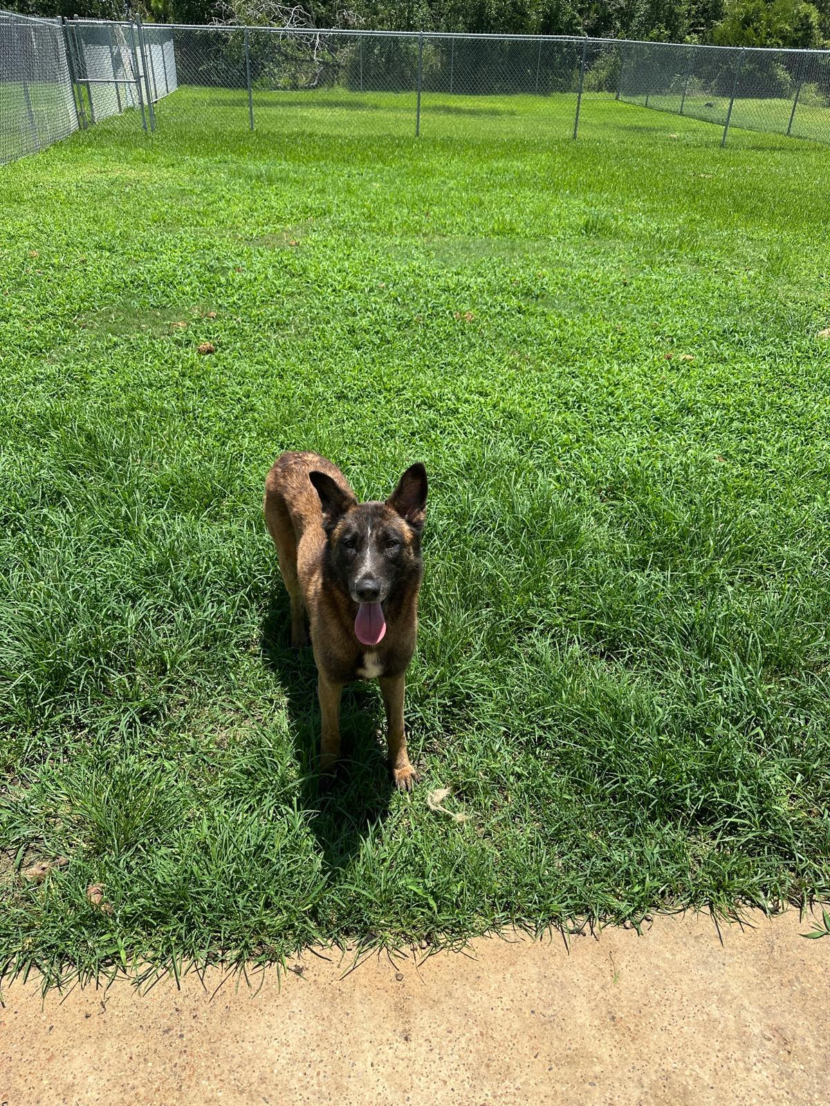 Gunner