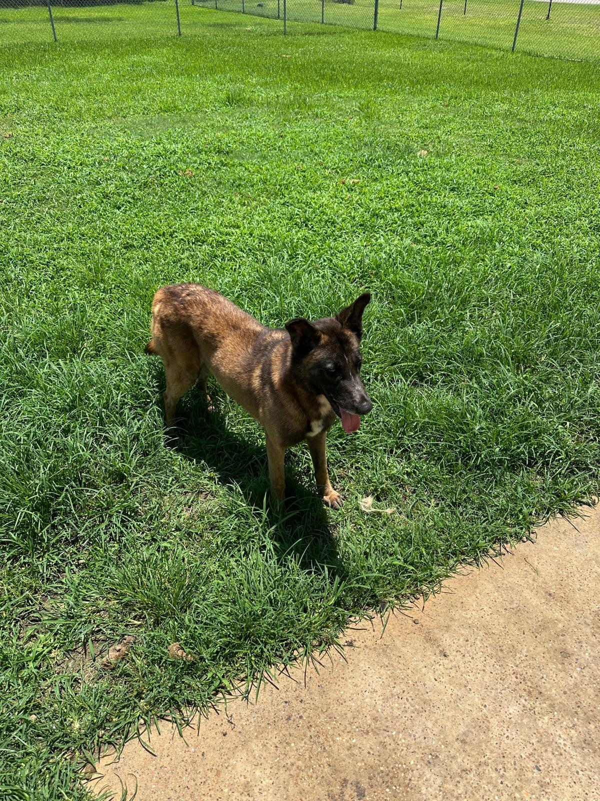 Gunner