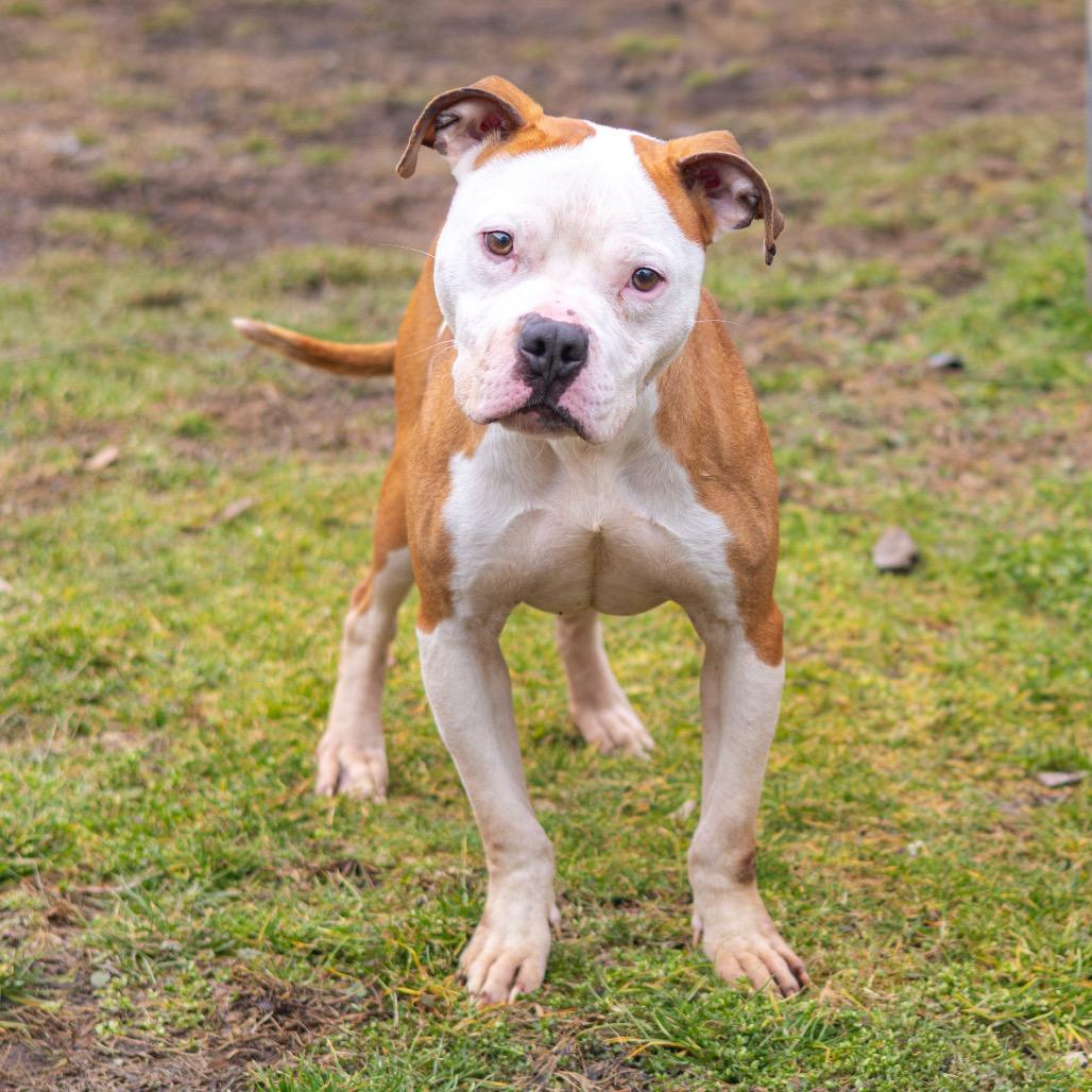 Frost — thumbnail 2