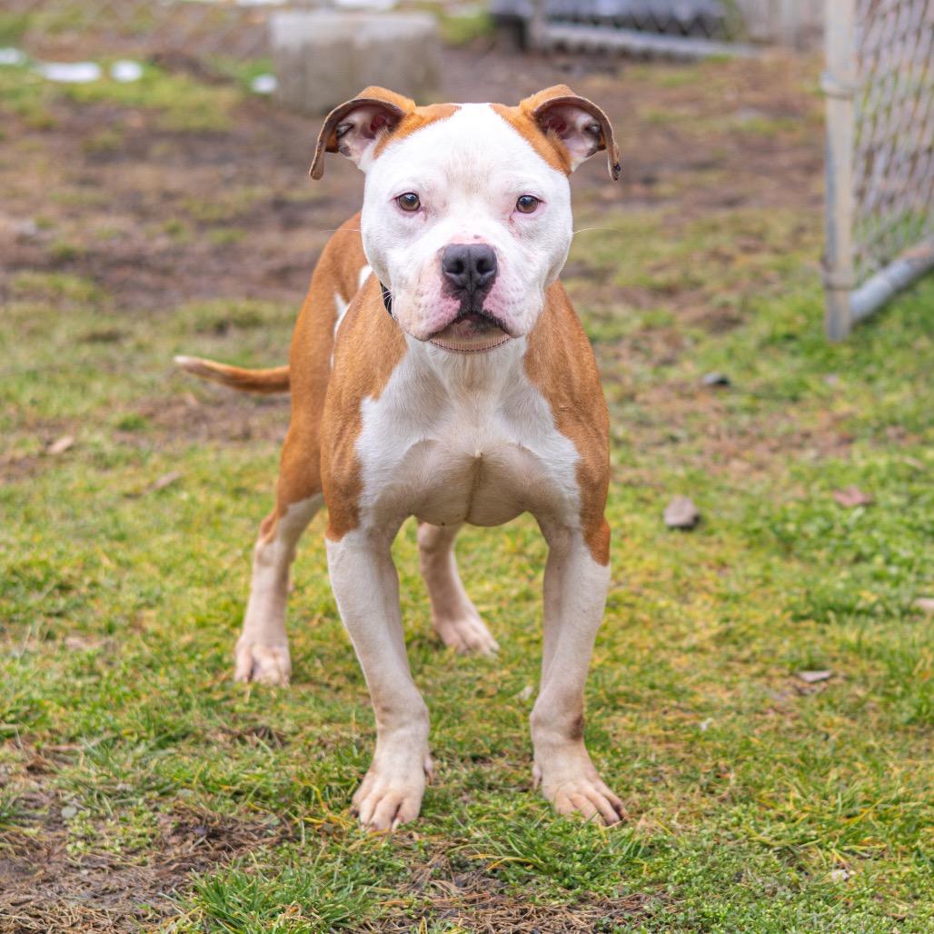 Frost — thumbnail 3