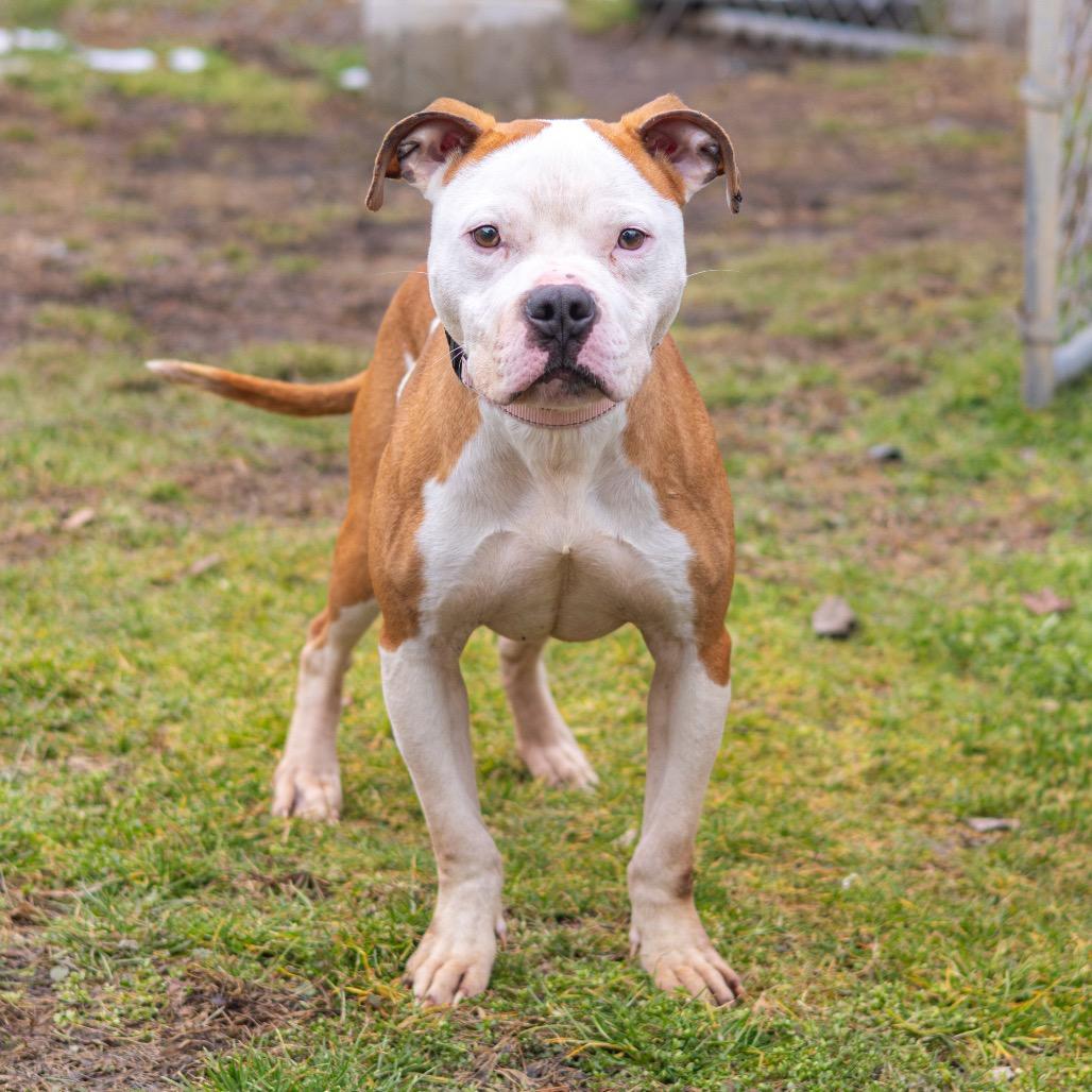 Frost — thumbnail 4