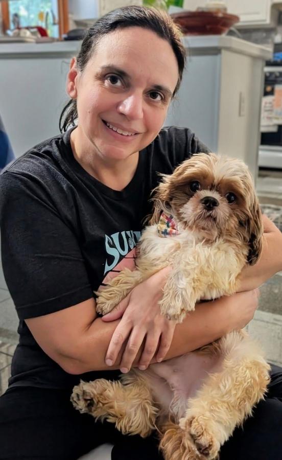Otto, Adopted, Adult Male Shih Tzu.