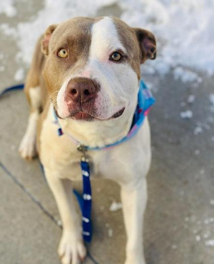 Debra — thumbnail 2