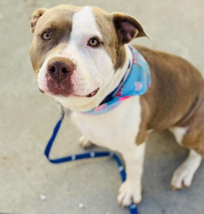 Debra — thumbnail 3