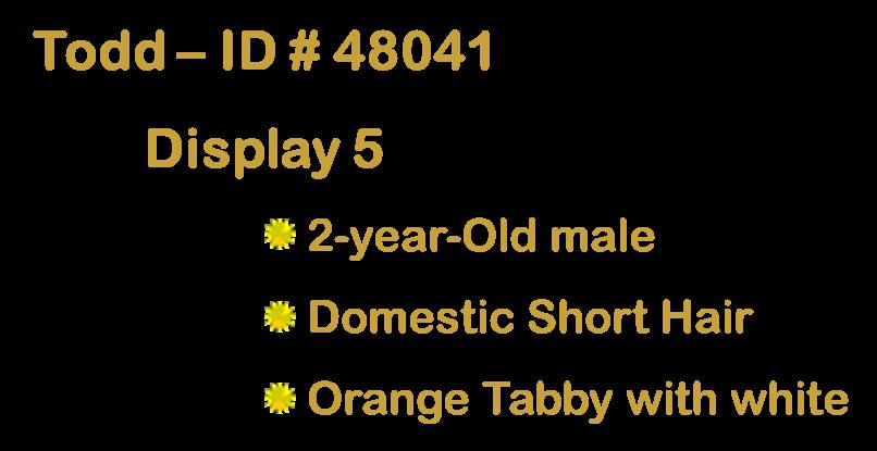 Claire — thumbnail 3