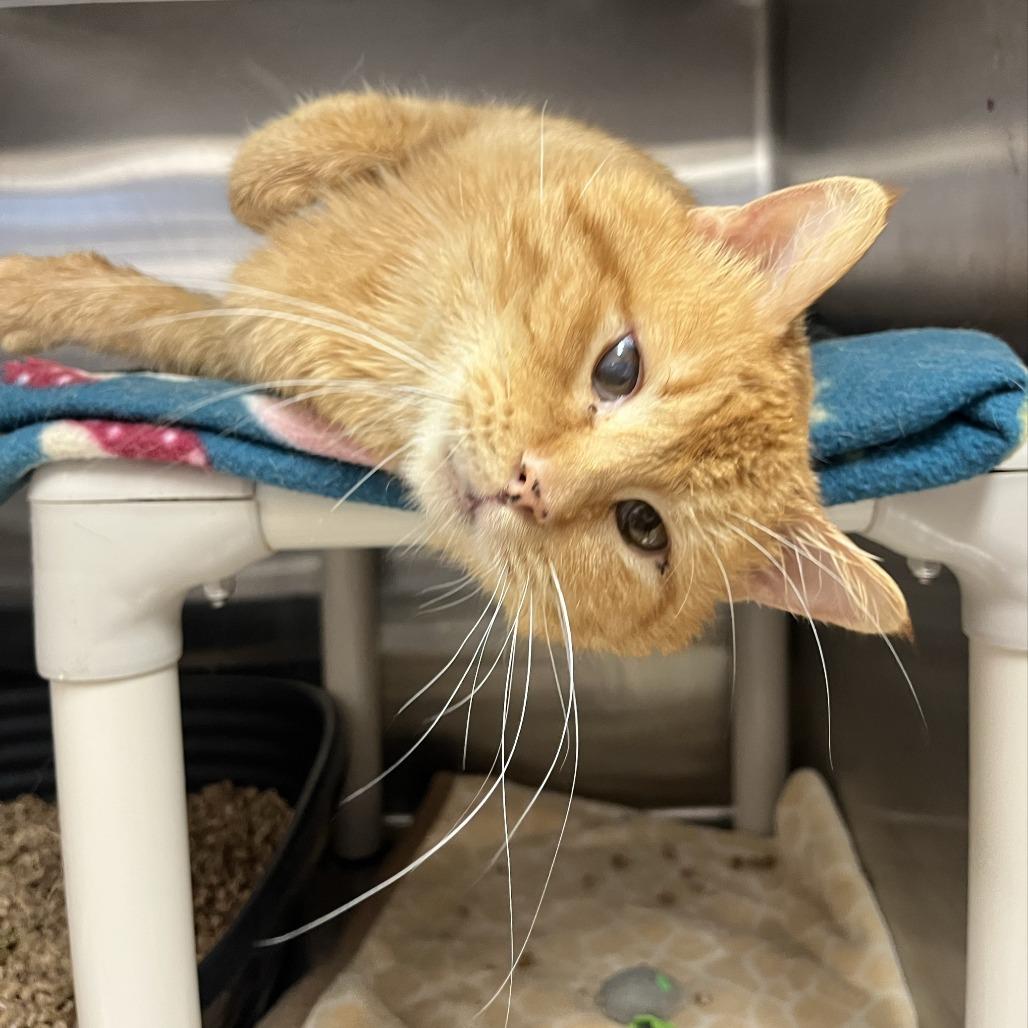 Rochester — thumbnail 2