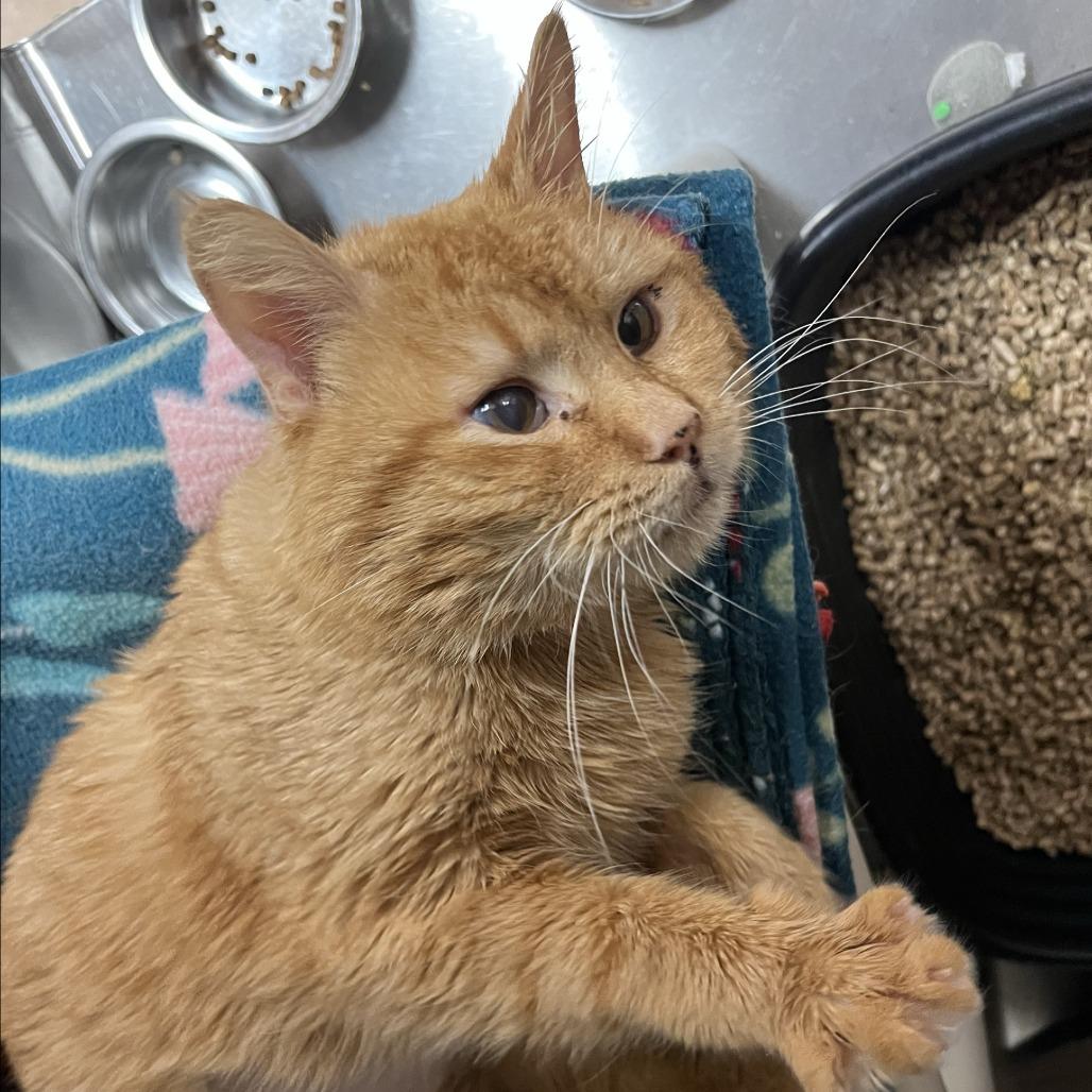 Rochester — thumbnail 3