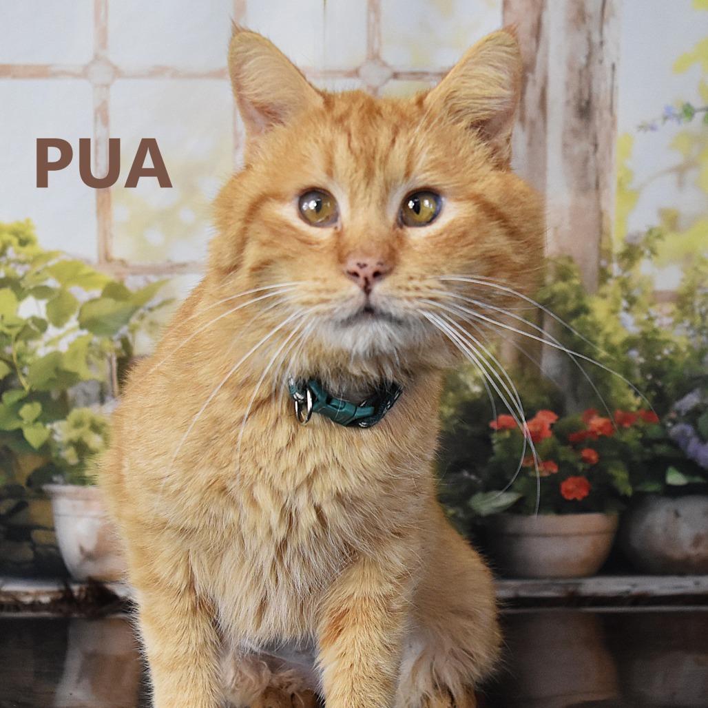 Rochester — thumbnail 4