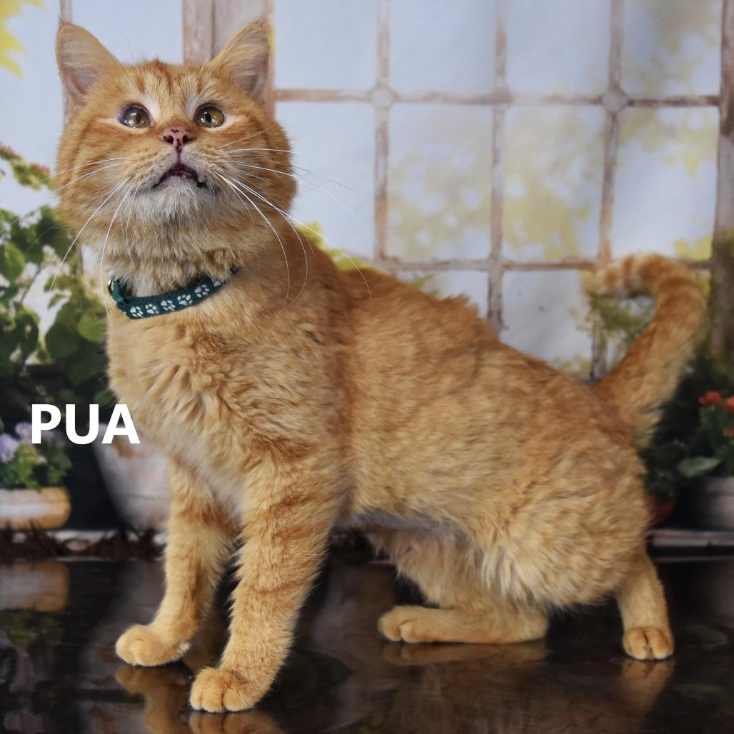 Rochester — thumbnail 5