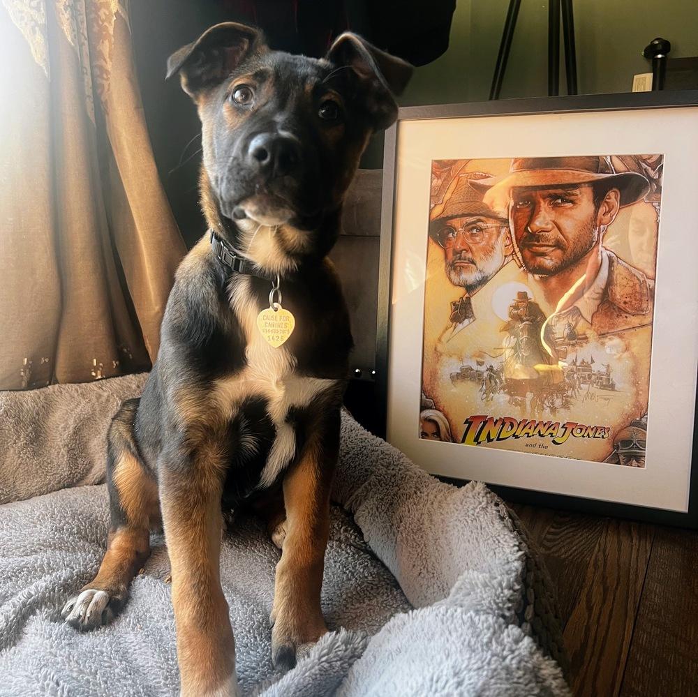 Indiana Bones thumbnail 4