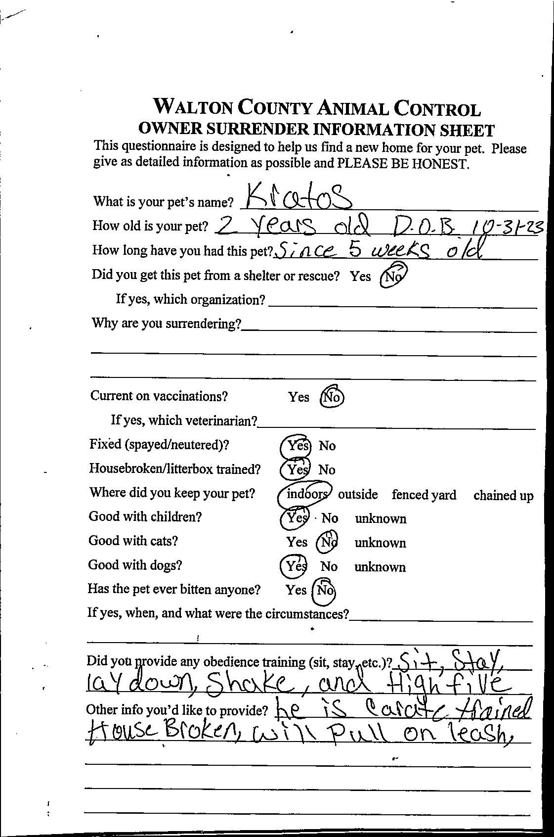 Enlarge Kratos #22152, a ADOPTABLE mixed breed in Monroe, GA image 2/3