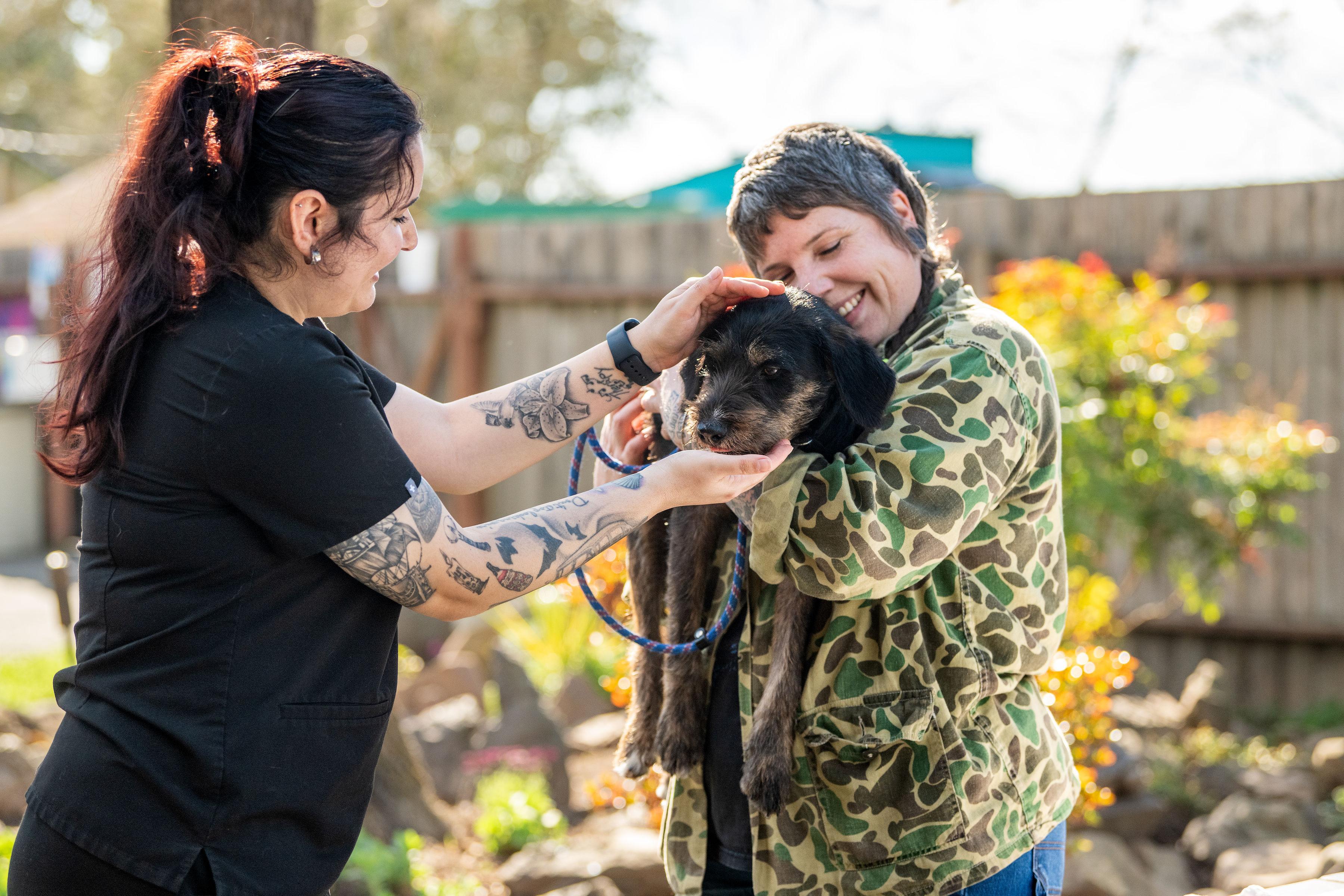 Enlarge Chispa, a ADOPTABLE mixed breed in Santa Rosa, CA image 5/5